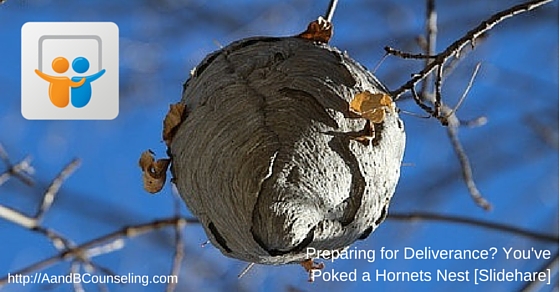Preparing for Deliverance? You've Poked a Hornets Nest [Slideshare]